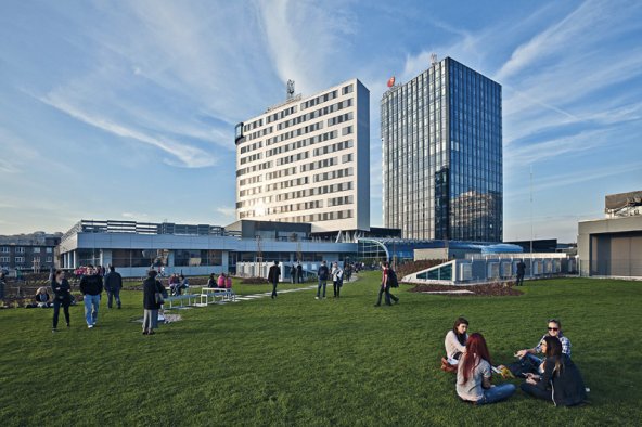 central-2.jpg