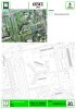 format-a4-zapad-page-28.jpg