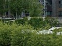 revitaliz-urban-uzemi-1.jpg